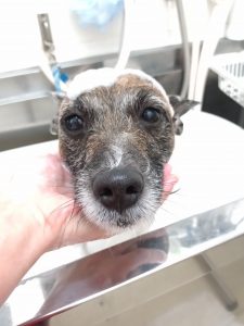 20260409_183525_copy_2591x3456_1