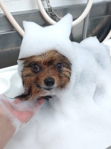 20260410_091400_copy_1944x2592