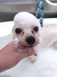 20260410_105443_copy_2847x3798