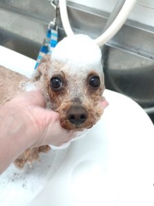 20260410_115316_copy_2843x3791