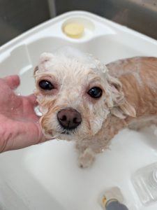 20260410_144043_copy_5400x7200