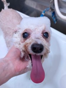 20260410_170111_copy_2610x3481_1