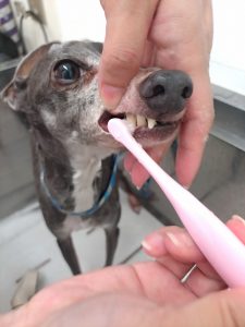 20260411_084808~2_copy_3000x4000