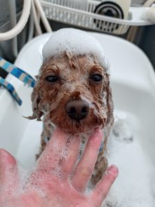 20260411_101328_copy_2465x3287