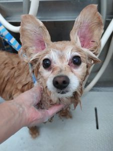 20260411_130016_copy_2510x3347_1