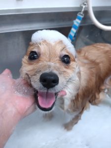 20260411_155726_copy_2700x3600_1