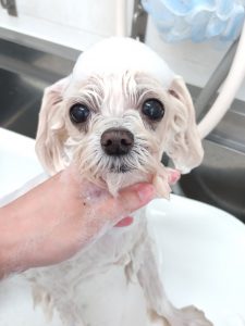 20260413_120607_copy_2791x3721