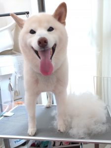 20260413_144558_copy_2789x3718