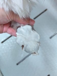 20260413_150904_copy_2560x3414