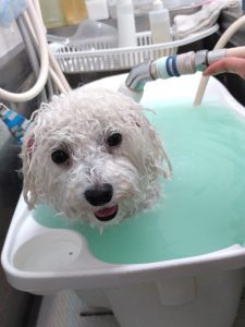 20260413_165249_copy_2038x2718