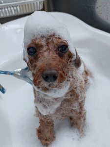 20260414_095342_copy_2498x3331_1