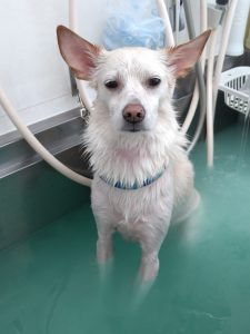 20260414_122946_copy_2022x2696