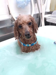 20260414_141323_copy_3000x4000