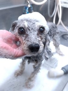 20260414_163612_copy_2700x3600