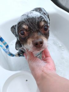 20260416_085754_copy_2465x3287