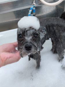 20260416_143121_copy_2607x3475_1