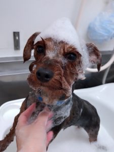 20260416_173737_copy_2918x3891