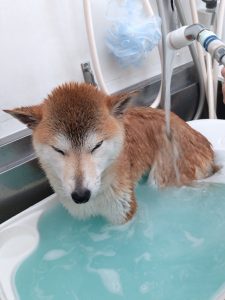 20260417_092031_copy_2160x2880