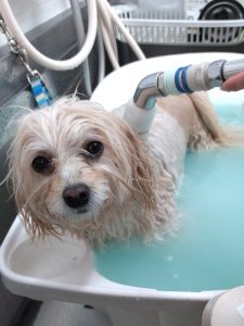 20260417_152800_copy_1890x2520