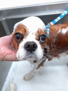 20260417_181902_copy_2644x3526_1