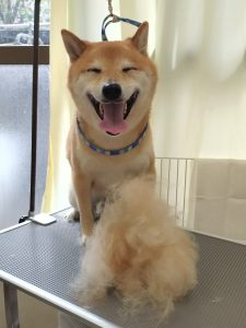 20260418_085225_copy_2419x3226_1