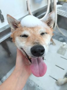 20260418_085947_copy_3000x4000