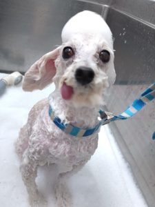 20260418_105342_copy_2700x3600_1