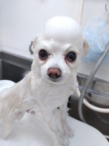 20260418_135205_copy_3000x4000