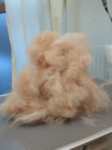 20260418_161732_copy_2700x3600_1