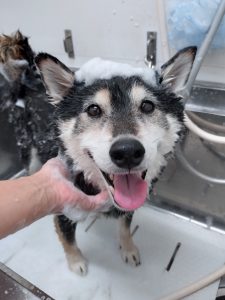 20260418_164448_copy_2970x3960