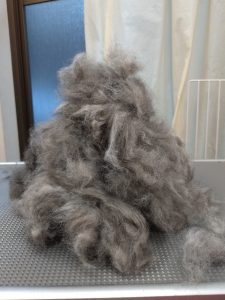 20260418_173226_copy_2482x3309_1