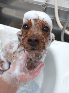 20260418_174634_copy_2700x3600_1