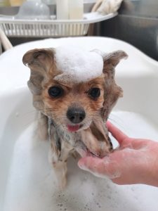 20260420_085405_copy_2271x3028