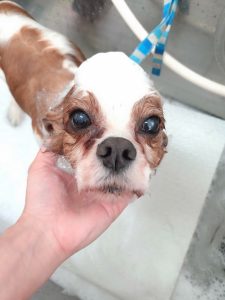 20260420_105327_copy_2700x3600