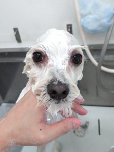 20260420_130918_copy_2400x3200_1