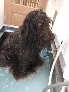 20260421_105043_copy_2104x2805