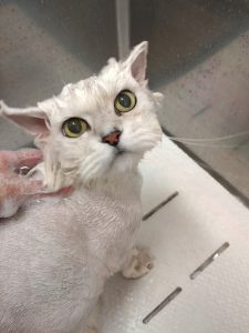 20260421_144404~2_copy_2619x3492