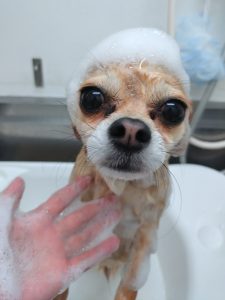 20260421_163811_copy_2516x3355