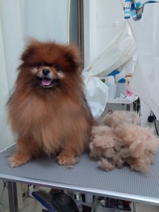 20260421_183839_copy_2519x3359