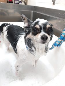 20260423_084857_copy_2700x3600_1