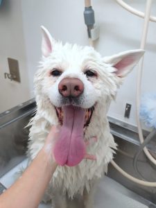 20260423_104838_copy_2689x3586