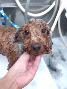 20260423_142115_copy_2322x3095