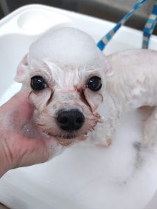 20260424_100308_copy_4109x5479