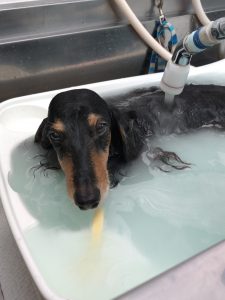 20260424_123404_copy_2010x2682