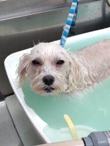 20260424_144547_copy_2410x3211