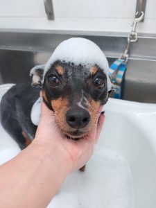 20260425_091113_copy_2731x3641