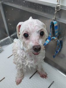 20260425_102733_copy_2400x3200_1