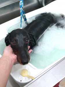 20260425_174709_copy_1966x2622