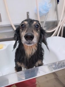 20260425_184840_copy_2700x3600_1