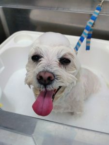 20260427_101724~2_copy_2718x3624